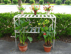 Rear-Wall Kit - Sproutwell Greenhouses