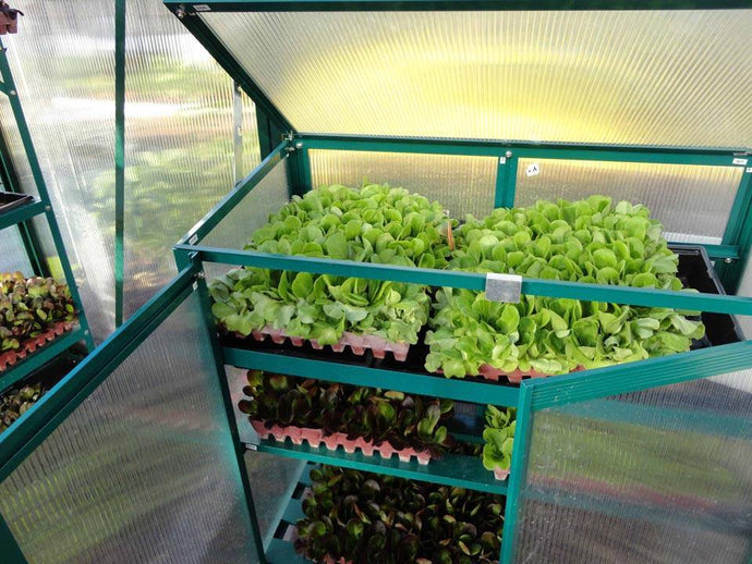 Mini Space Saver - Sproutwell Greenhouses