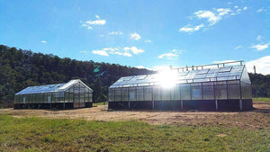 Grange-5 8000 - Sproutwell Greenhouses