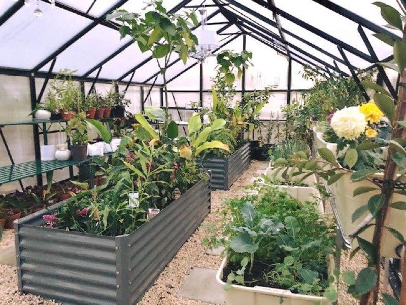 Grange-4 12000 - Sproutwell Greenhouses