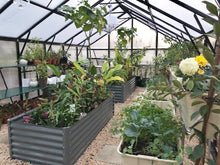 Load image into Gallery viewer, Grange-3 Greenhouse 5000 (3m x 5m)
