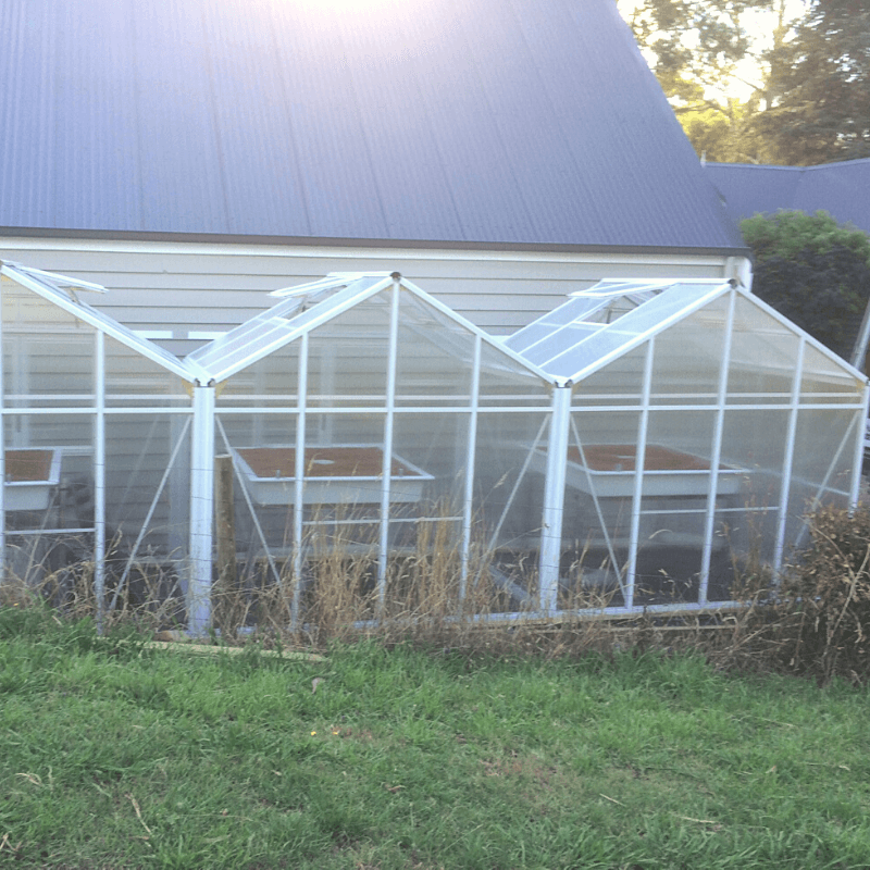 1940 Side-By-Side - Sproutwell Greenhouses