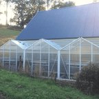 1940 Side-By-Side - Sproutwell Greenhouses
