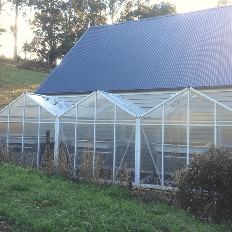 1940 Side-By-Side - Sproutwell Greenhouses