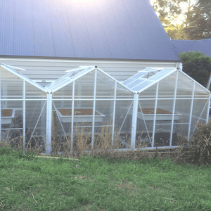 1940 Side-By-Side - Sproutwell Greenhouses