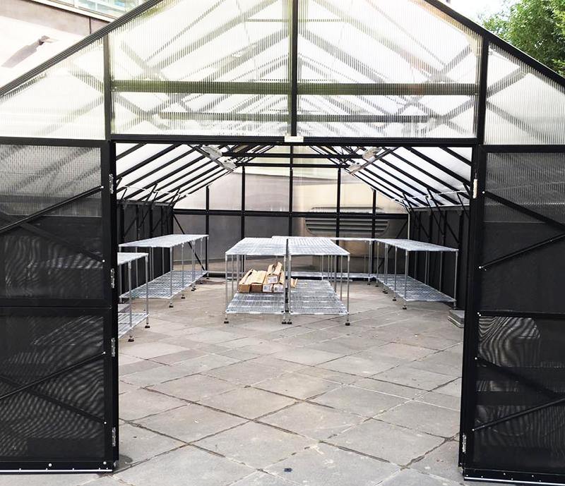 Customised Galvanised Stands - Sproutwell Greenhouses